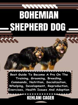 cover image of BOHEMIAN SHEPHERD DOG
